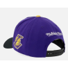 Mitchell e Ness -  - UNISEX - HP16472LALPURP